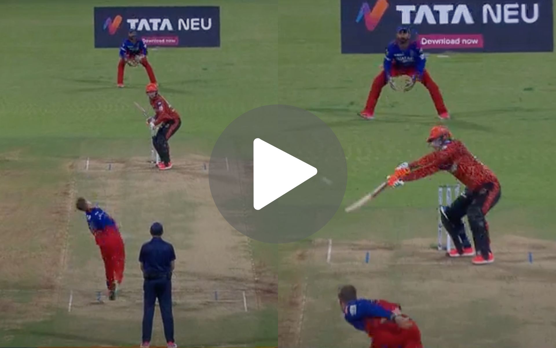 [Watch] Heinrich Klaasen’s 'Unluckiest Dismissal Of IPL 2024' Brings Joy To RCB